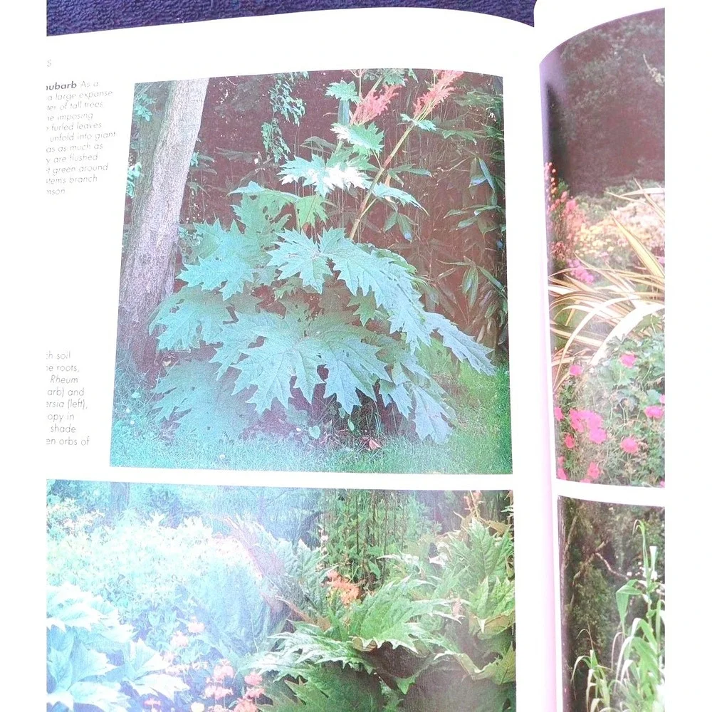 A–Z of Perennials – Reader's Digest Successful Gardening Series 1990, Hardcover‎